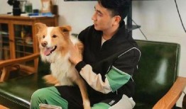 林生斌微信最新爆料视频,事件真相再引热议